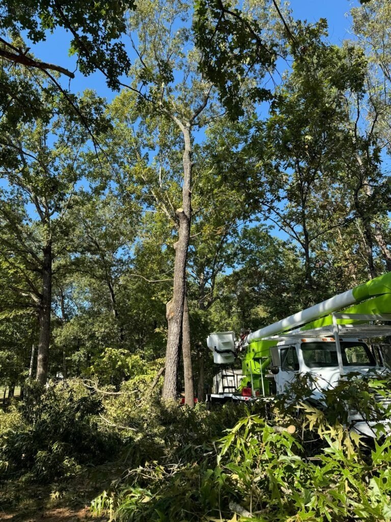 Crew and bucket truck clearing trees during a lot clearing job